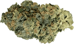 Cannamedical CM 28/1 Koko Cookies