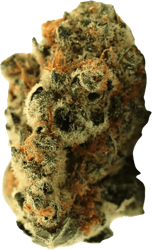 Demecan 22:01 Florestura Super Haze X Amnesia