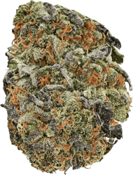 Demecan Organic MC 25:01 Cherry Mints