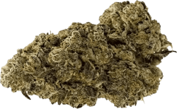 Demecan AG Epic Drop Guava Barz