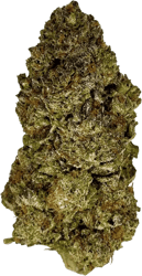 Demecan MC Regular Drop 27/1 Glitter Pop Bomb