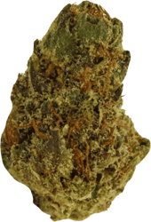 NICE 28/1 GSC Girl Scout Cookies