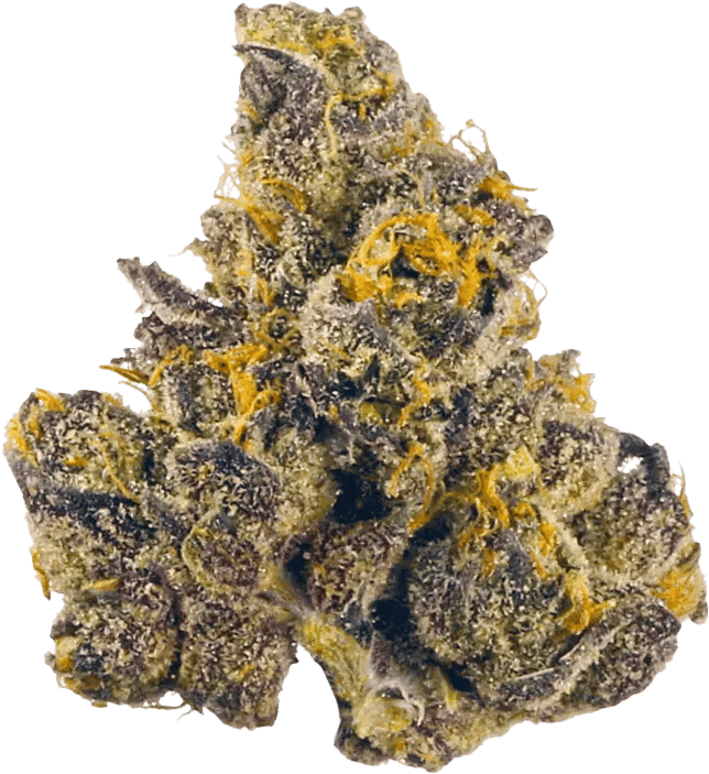 420 Compound 30/1 CA BBW Bling Blaow