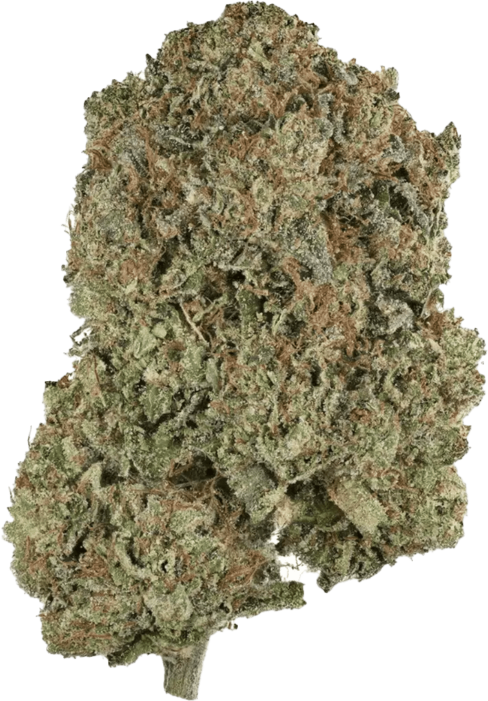Drapalin 27/1 Pink Gas