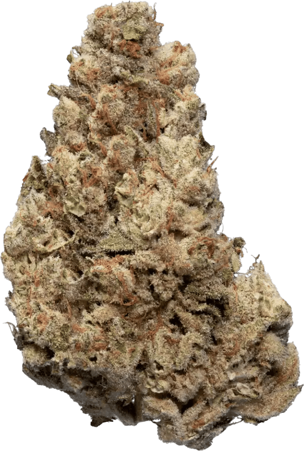enua 22/1 CCK CA Cold Creek Kush