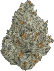 enua 22/1 ICC CA Ice Cream Cake