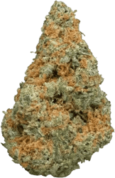 enua 25/1 SBD CA Strawberry Diesel