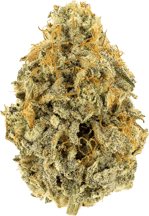 Demecan Craft Electron 31:01 Gelato OG Kush