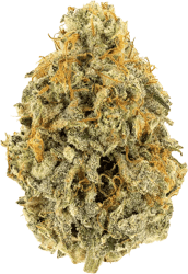 Demecan Craft Electron 31:01 Gelato OG Kush