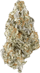 enua 30/1 DSH CA Dark Shadow Haze