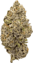 GM Colour of Space 26/1 Apple Fritters Purple Punch