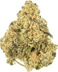 Green Karat SD PT Supreme Diesel