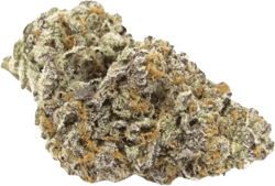 Eufloria 30/1 KUM Kush Mints