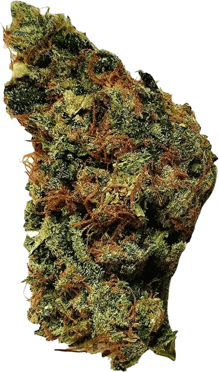 Gr&uuml;nhorn GG 22/1 Gorilla Glue