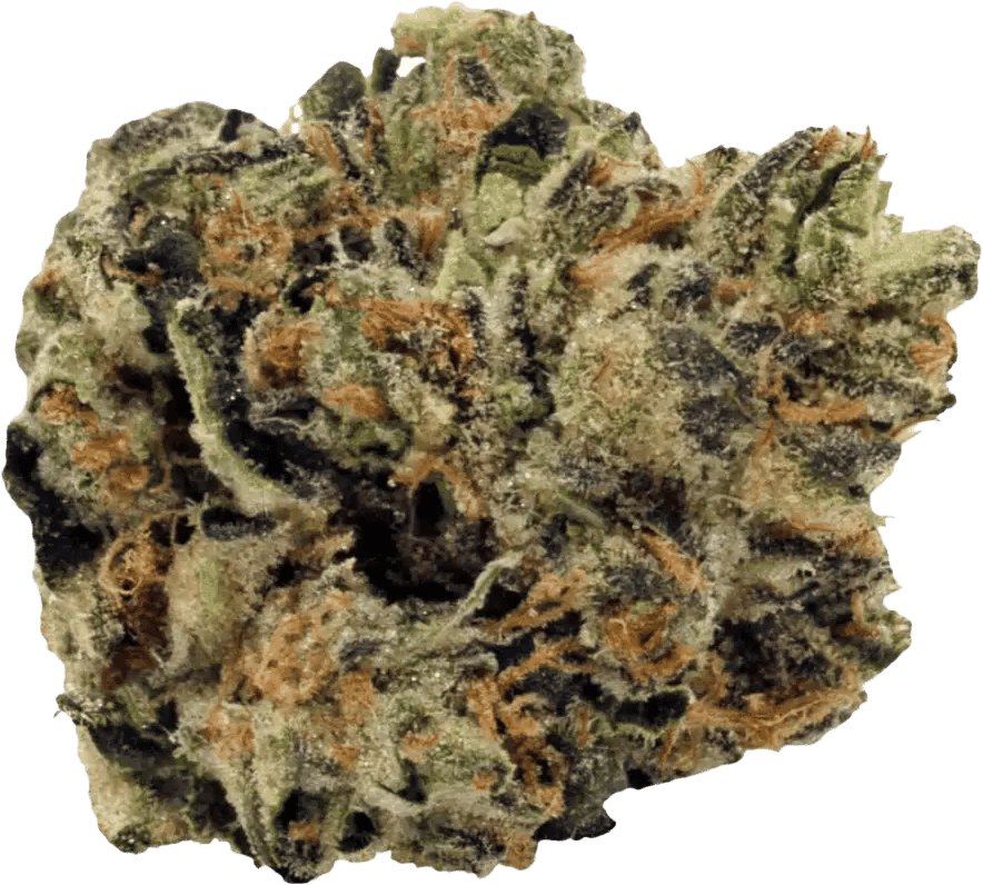 Luana Kush 28/1 Hippie Kush