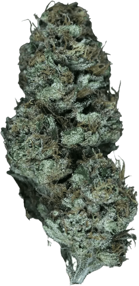 Herbasana Colombiana 20:01 Apple Soda