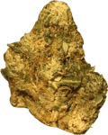 IMC THC20 T01 HK Hindu Kush