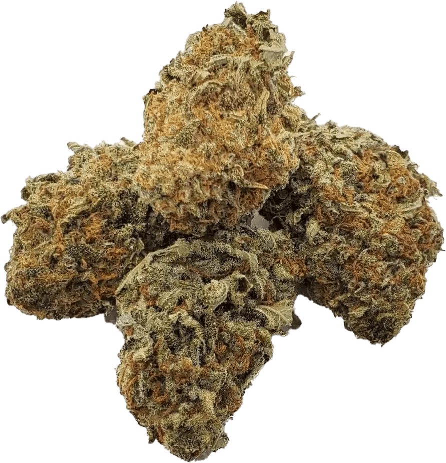 IMC THC22 T02 OG Kush