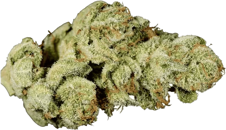 IMC THC25 T03 GG4 Gorilla Glue