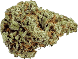 IMC THC25 T04 Strawberry OG