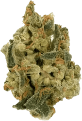 IMC THC22 T05 Somango Skunk