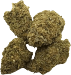 madrecan 21/1 MDR Mac Driver