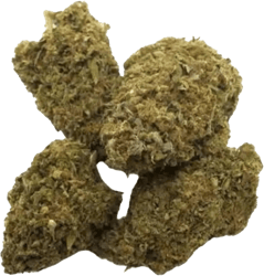 madrecan 21/1 MDR Mac Driver