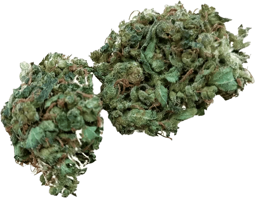 Pedanios 22/1 Ghost Train Haze