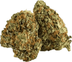 Pedanios 24/1 LAC CA LA Confidential