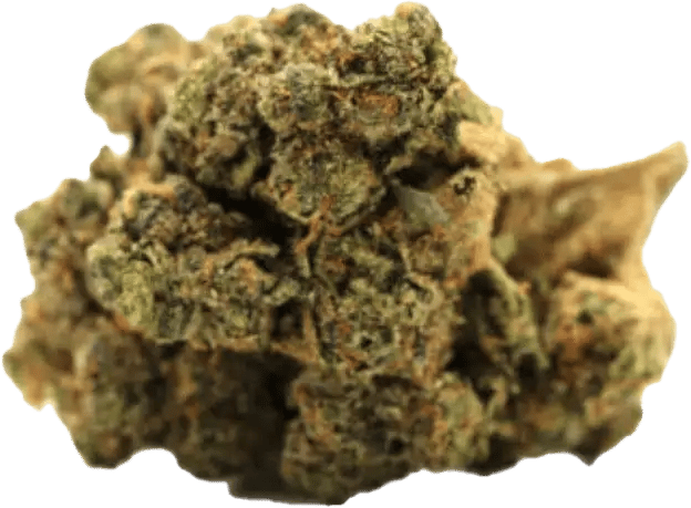 Pedanios 29/1 SRD CA Sourdough