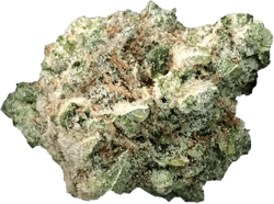 Sinceritas Hybrid Verum 24/1 BK Banana Kush