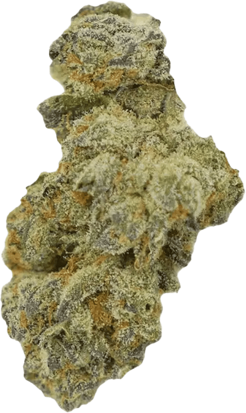 Tilray THC10:CBD10 Warlock No.2 - Warlock CBD