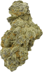 Tilray THC10:CBD10 Warlock No.2 - Warlock CBD