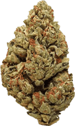 Remexian 30/1 CHK Chemical Kush