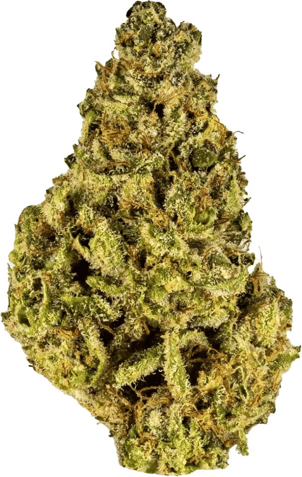 Cannamedical Indica Light ZAF Strawberry Lemonade