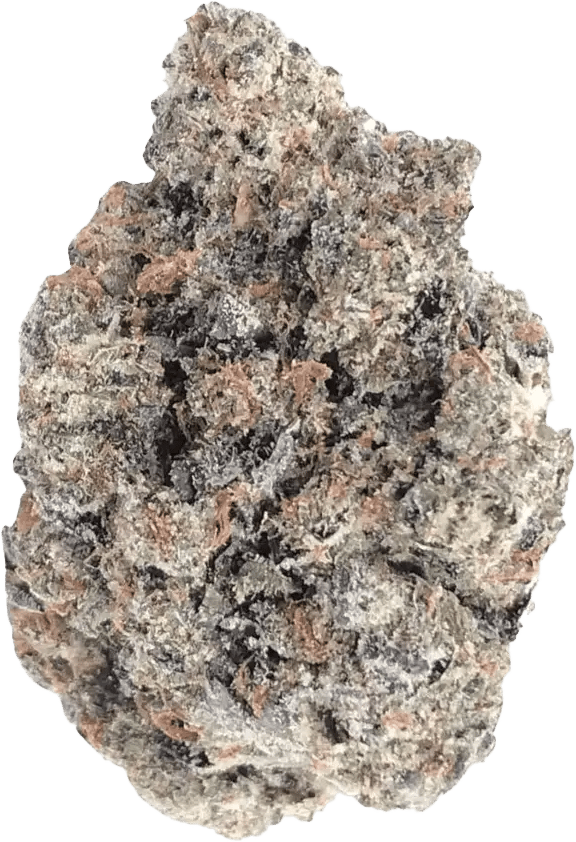 enua 22/1 PS3 BCP CA Black Cherry Punch