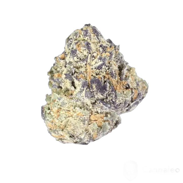 enua 25/1 MAC 1 CA Miracle Alien Cookies