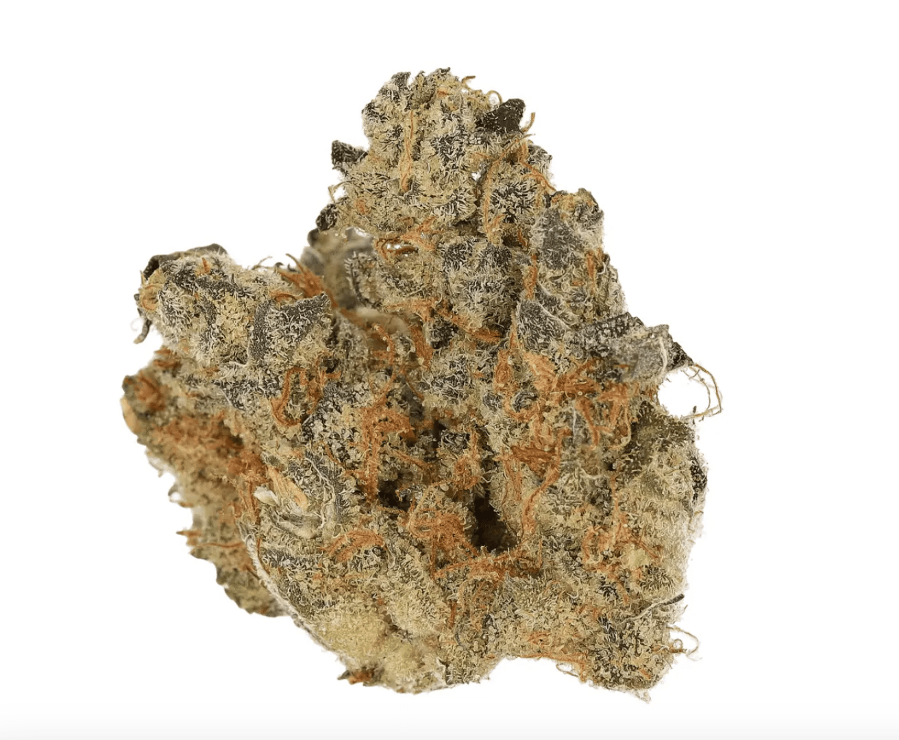 Cannamedical CM 31/1 SPC Space Cake