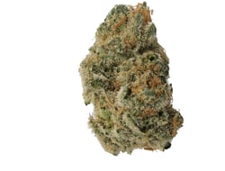 Cannamedical Sativa Forte NM Candyland