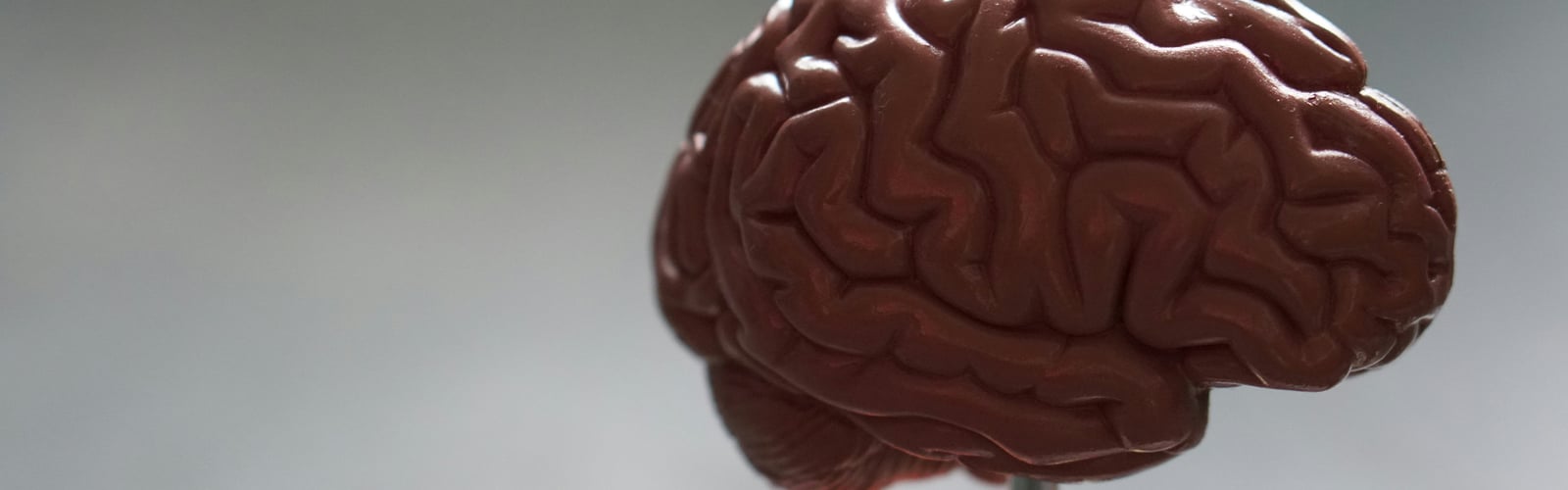 Illustration der Wirkung von Cannabis auf das Gehirn