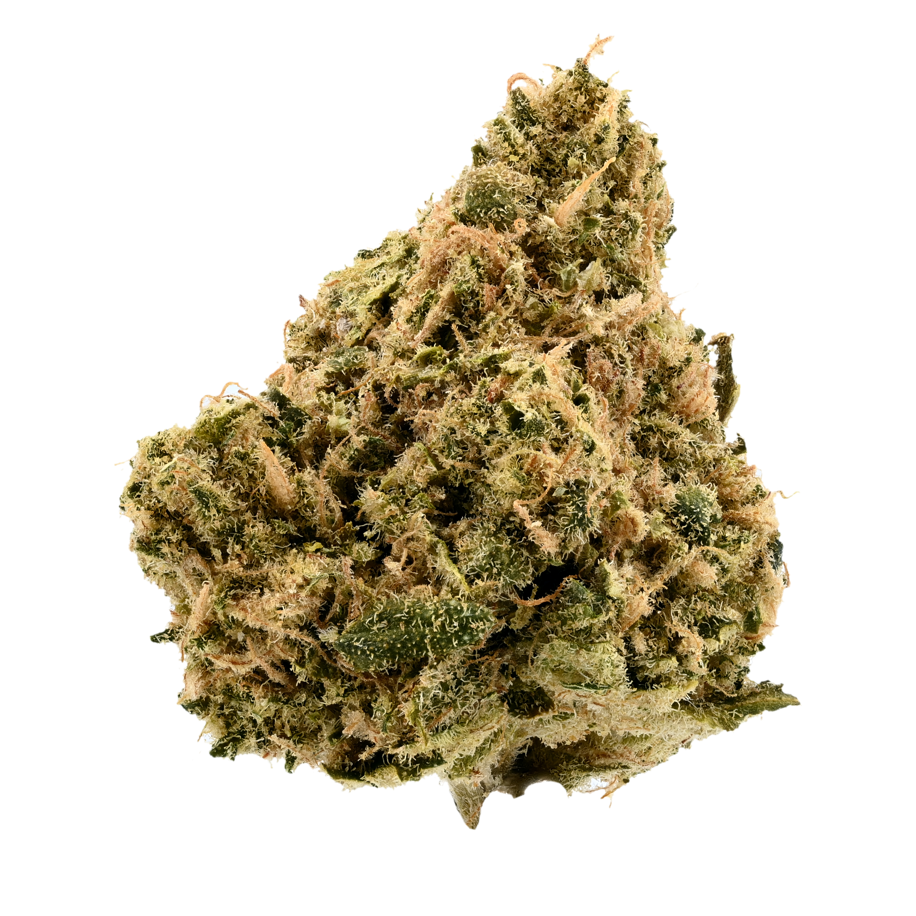 Demecan Core Solar 21:01 BR