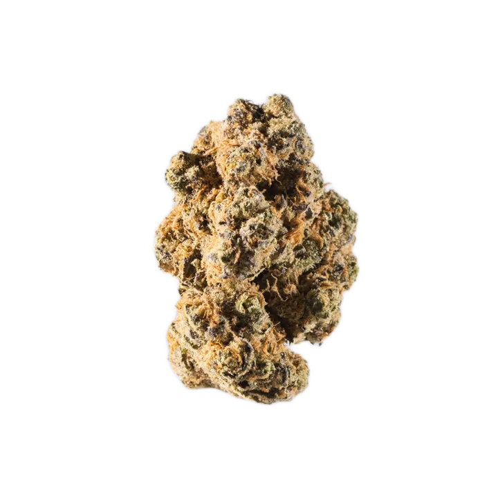 avaay 27/1 DID Do-Si-Dos