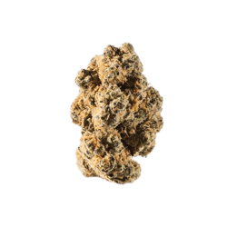 avaay 27/1 DID Do-Si-Dos