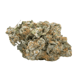 Cannamedical CM 20/1 Hindu Kush