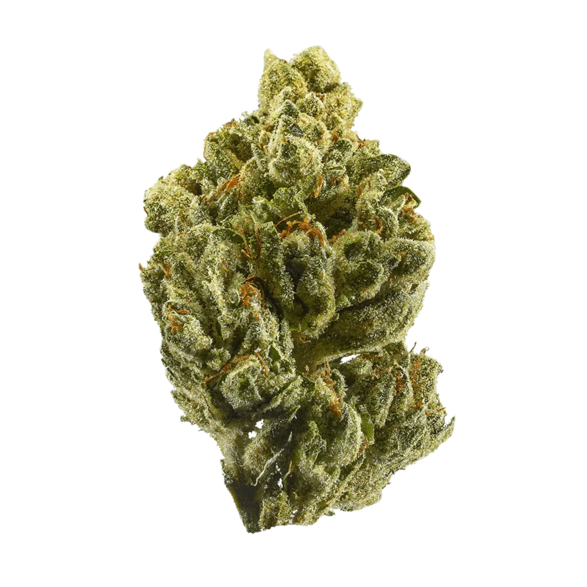 Cannamedical CM 24/1 OG Kush