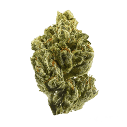 Cannamedical CM 24/1 OG Kush