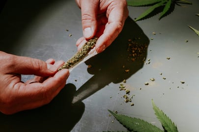 cannabis-legalisierung-deutschland-2024-uebersicht