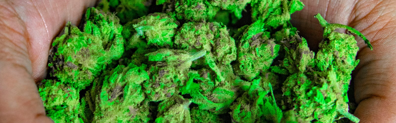 Cannabis mit wenig THC: Gesundheit & Legalit&auml;t