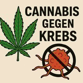 Cannabis gegen Krebs: Chancen und Risiken