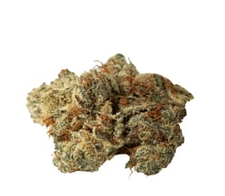 V-LUE FaZ9 30/1 FalconZ